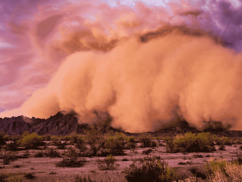 5 Ways Monsoon Season Damages Your AC (and How to Fix It)