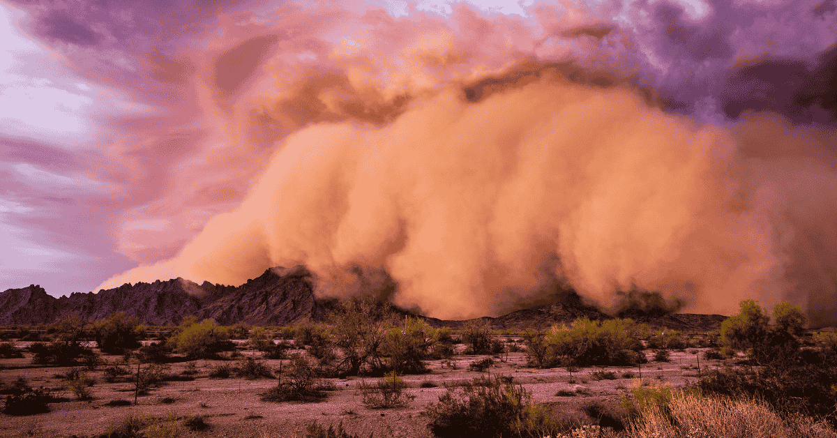 5 Ways Monsoon Season Damages Your AC (and How to Fix It)