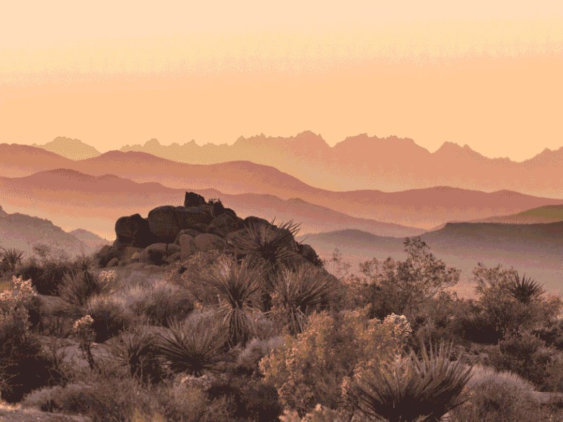 Why Annual HVAC Maintenance Matters More in Desert Climates