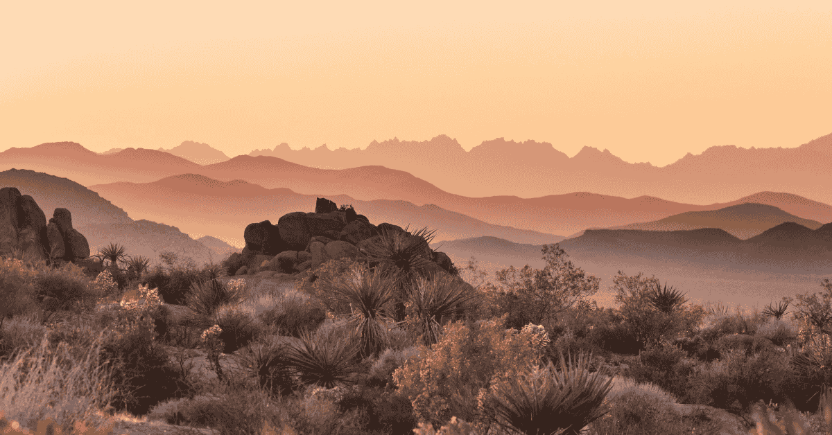 Why Annual HVAC Maintenance Matters More in Desert Climates